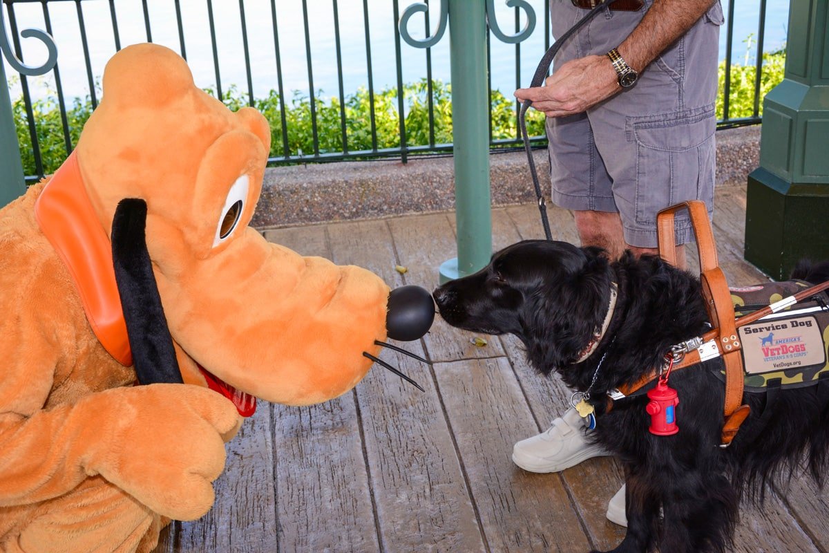 Plutos Presence In Disney Parks And Resorts Is Widespread